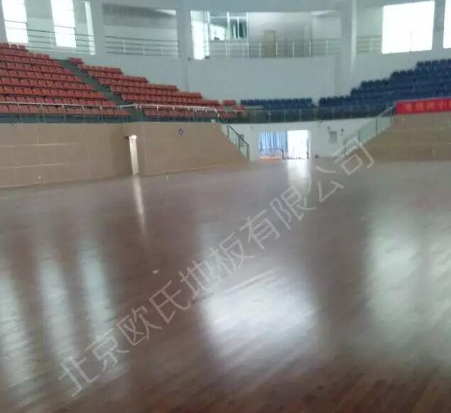 广东省湛江市麻章区体育馆枫木地板单层龙骨结构案例