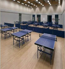 乒乓球体育专用运动木地板的五优势