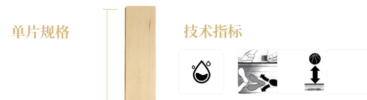 兰州枫桦木运动木地板品牌排行榜