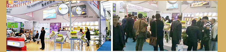第十九届中国国际地面材料及铺装技术展览会将在上海浦东开展！